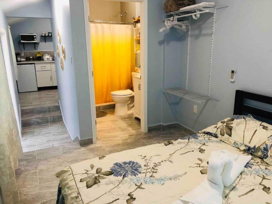 New Luxurious Studio Private In The Heart Of Miami Dış mekan fotoğraf