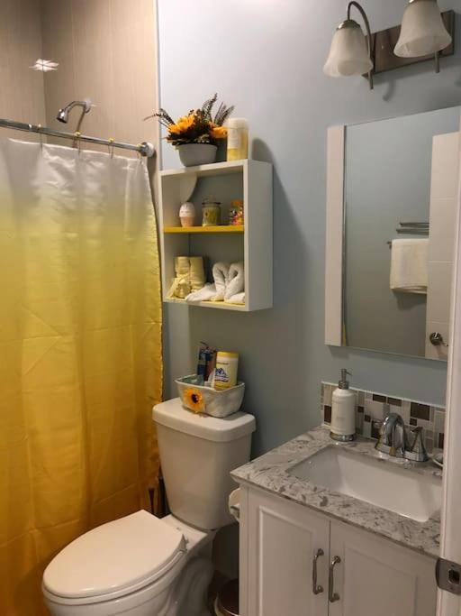 New Luxurious Studio Private In The Heart Of Miami Dış mekan fotoğraf