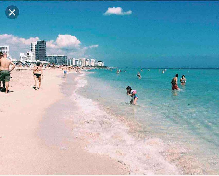 New Luxurious Studio Private In The Heart Of Miami Dış mekan fotoğraf
