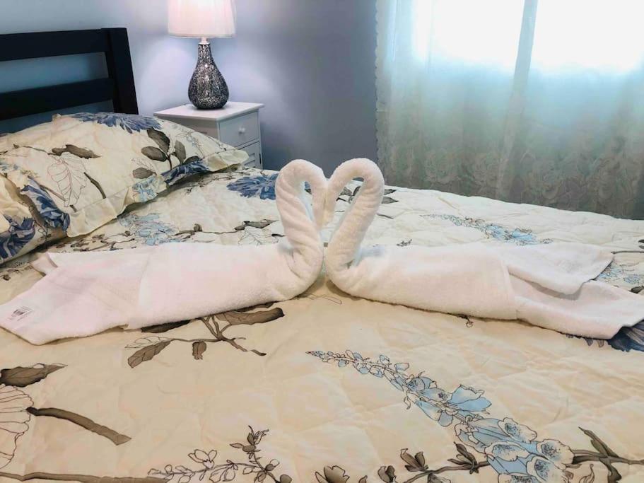New Luxurious Studio Private In The Heart Of Miami Dış mekan fotoğraf