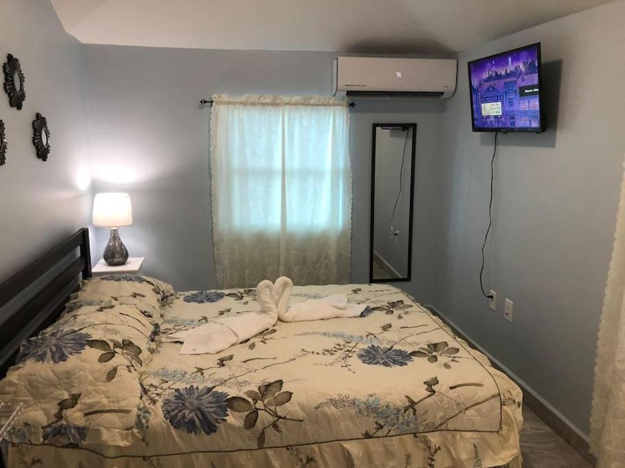New Luxurious Studio Private In The Heart Of Miami Dış mekan fotoğraf